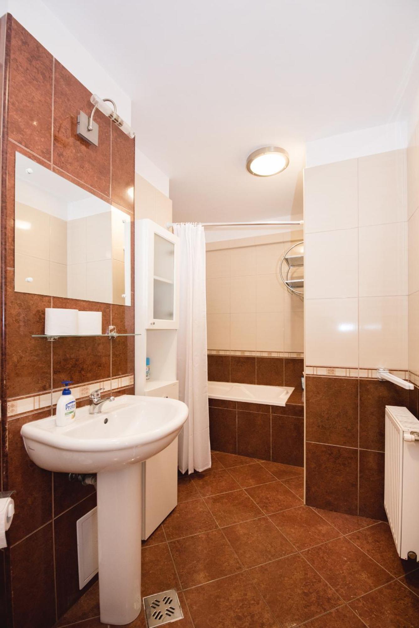 Oltului Apartment Брашов Экстерьер фото